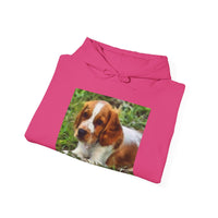 Welsh Springer Spaniel Unisex 50/50 Hoodie