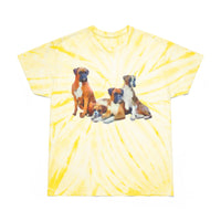 Boxer Quartet - Unisex Cotton Tie-Dye Tee in Cyclone