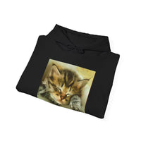 Sleepy Brucie the Cat - Classic 50/50 Hoodie