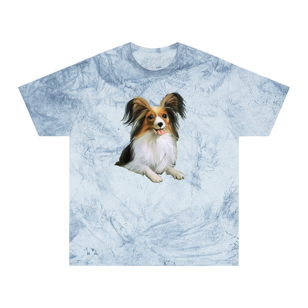 Papillon Unisex Relaxed Fit Color Blast T-Shirt