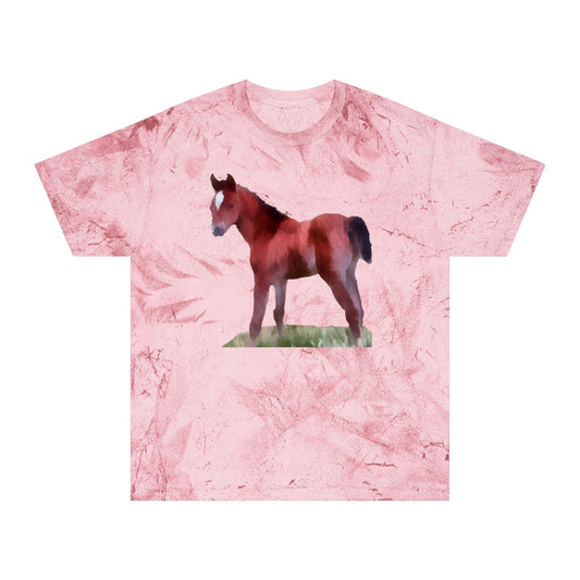 Horse 'Contata' Unisex Cotton Color Blast T-Shirt