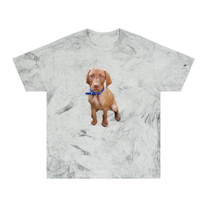 Vizsla 'Augie' Unisex Cotton  -  Color Blast T-Shirt