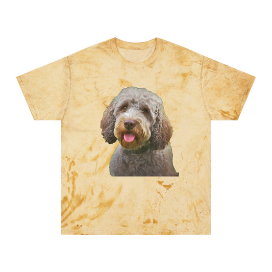 Lagotto Romagnolo 'Italian Truffle Dog' Relaxed Fit Color Blast T-Shirt