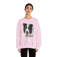 Border Collie 'Archie' Unisex 50/50 Crewneck Sweatshirt