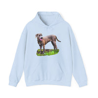 Blue Lacy 'Tex' Unisex 50/50 Hoodie