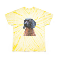 Bavarian Mountain Scent Hound Unisex Cotton Tie-Dye Tee, Cyclone