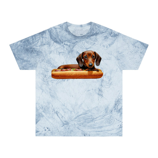 Dachshund Delight Unisex Relaxed Fit Color Blast T-Shirt