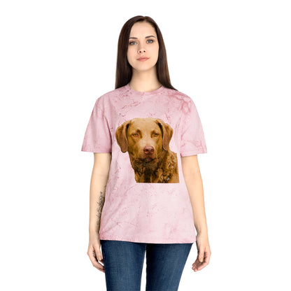 Chesapeake Bay Retriever Classic Color Blast T-Shirt