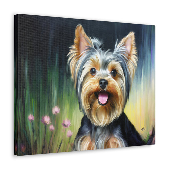 Yorkie #3 - Yorkshire Terrier - Canvas Gallery Wraps 20 x 16 Inches