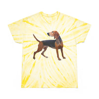 Segugio Italiano Classic Tie-Dye Tee, Cyclone