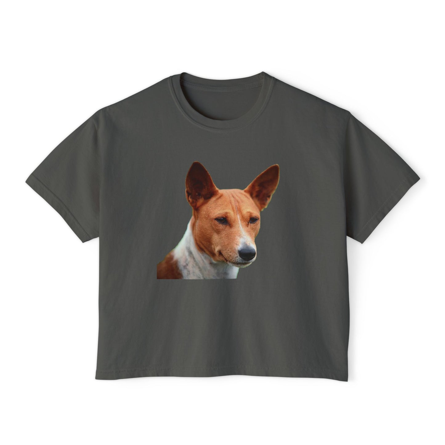 Basenji Women's Oversized Boxy Tee