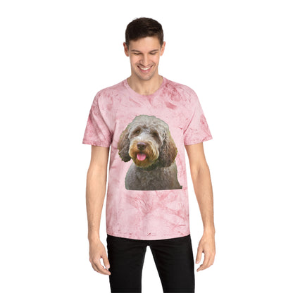 Lagotto Romagnolo 'Italian Truffle Dog' Relaxed Fit Color Blast T-Shirt