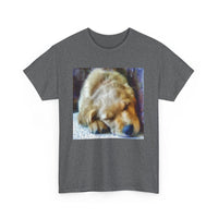 Zuko's Cozy Adventure Tee