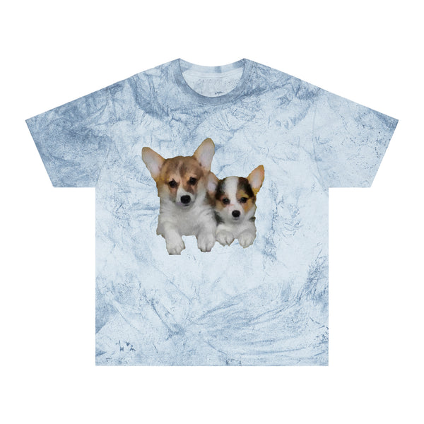 Welsh Corgi 'Cousins' Color Blast T-Shirt by DoggyLips™