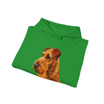 Irish Terrier 'Jocko' Unisex 50/50 Hoodie