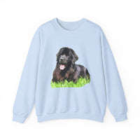 Newfoundland 'Madden' Unisex 50/50 Crewneck Sweatshirt