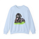 Newfoundland 'Madden' Unisex 50/50 Crewneck Sweatshirt