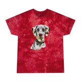 Dalmatian Unisex Cotton Tie-Dye Tee, Crystal