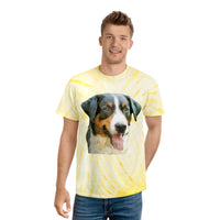 Appenzeller Sennenhund Tie-Dye Tee in Cyclone