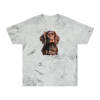 Boykin Spaniel Unisex Color Blast T-Shirt