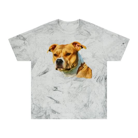 Pit Bull 'Herculese' Unisex Cotton Color Blast T-Shirt
