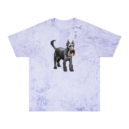 Cesky Terrier - Unisex Color Blast T-Shirt