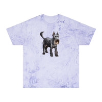 Cesky Terrier - Unisex Color Blast T-Shirt