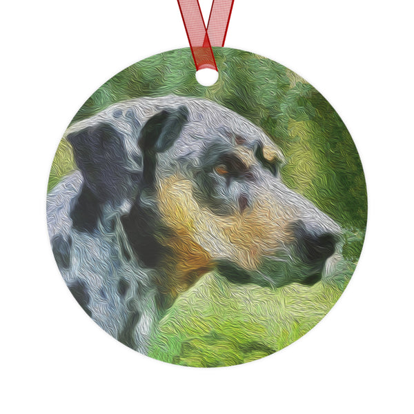 Catahoula 'Clancy'  - Metal Ornaments