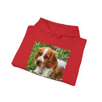 Welsh Springer Spaniel Unisex 50/50 Hoodie
