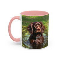 Boykin Spaniel -- Accent Coffee Mug --2 Sizes