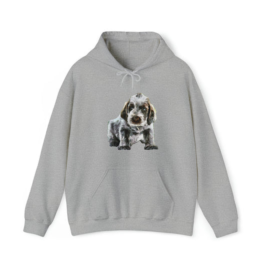 Spinone Italiano Unisex 50/50 Hoodie