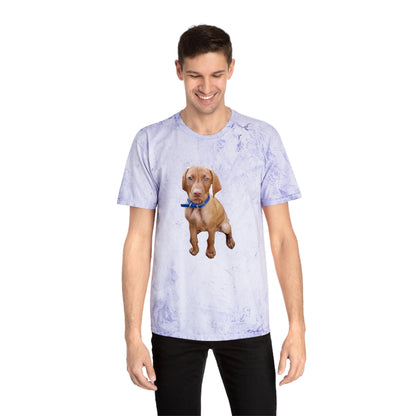Vizsla 'Augie' Unisex Cotton Color Blast T-Shirt
