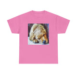 Zuko's Cozy Adventure Tee