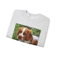 Welsh Springer Spaniel Unisex Crewneck Sweatshirt