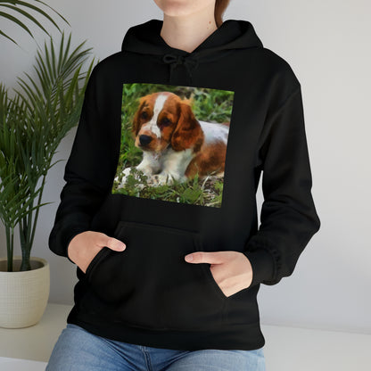 Welsh Springer Spaniel Unisex 50/50 Hoodie
