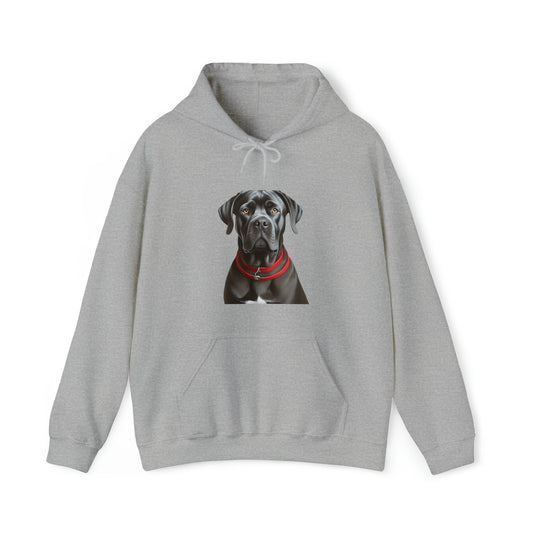 Cane Corso Cozy Charm Hoodie