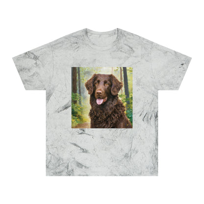 Curly-Coated Retriever Color Blast T-Shirt