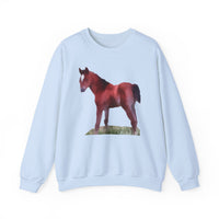Horse 'Contata' Unisex 50/50 Crewneck Sweatshirt