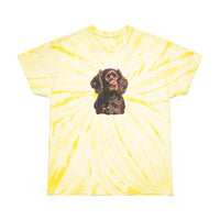 Boykin Spaniel Tie-Dye Tee, Cyclone