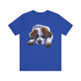 St. Bernard Sontuc - Unisex Cozy Comfort Tee