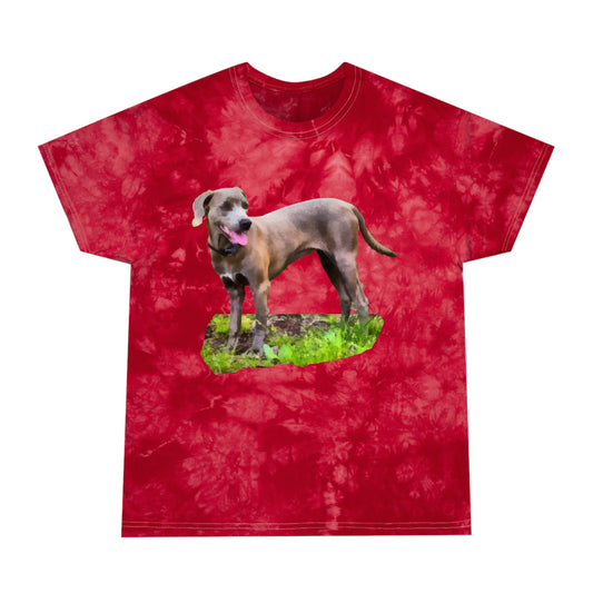 Blue Lacy Unisex Cotton Tie-Dye Tee, Crystal