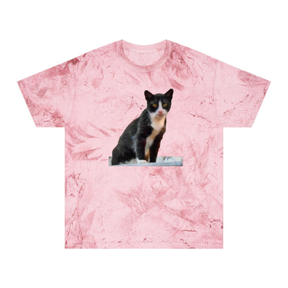 Cats of  Hydra  Greece Unisex Cotton  -  Color Blast T-Shirt