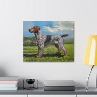 Wirehaired Pointing Griffon Canvas Gallery Wraps 20 x 16 Inches