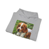 Welsh Springer Spaniel Unisex 50/50 Hoodie