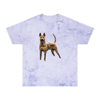 Thai Ridgeback Unisex Cotton  -  Color Blast T-Shirt