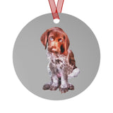 German Shorthair Pointer 'Benny' Metal Ornaments