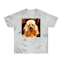 Poodle Cotton Unisex  -  Color Blast T-Shirt