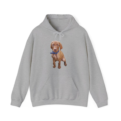 Hungarian Vizsla 'Augie' Unisex 50/50 Hoodie