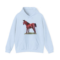 Contata Unisex 50/50 Hoodie: Comfort Meets Style