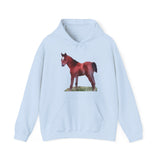Contata Unisex 50/50 Hoodie: Comfort Meets Style